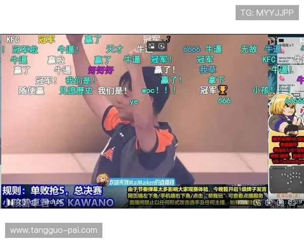 冠军娱乐的魅力：从游戏到赛事，尽享无尽乐趣