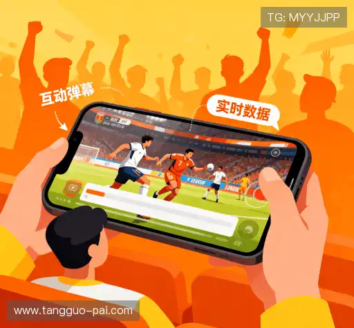 我们的风险管理